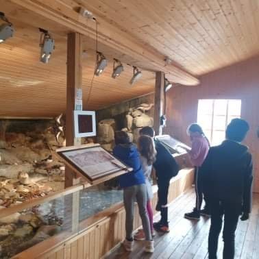 8da313a8-9981-4105-baa2-c582bb030e97