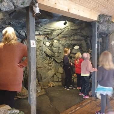 ad5ac3cb-07bd-459c-8e23-fe6cbac1ded4