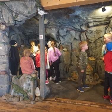 b1f50e5c-f3f3-4755-9b1d-4528867eb98b