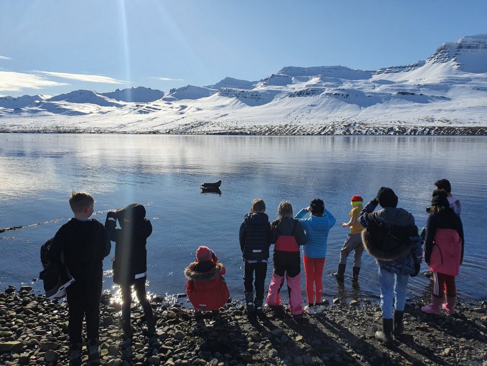 Nemendur í fjöru að horfa á sel