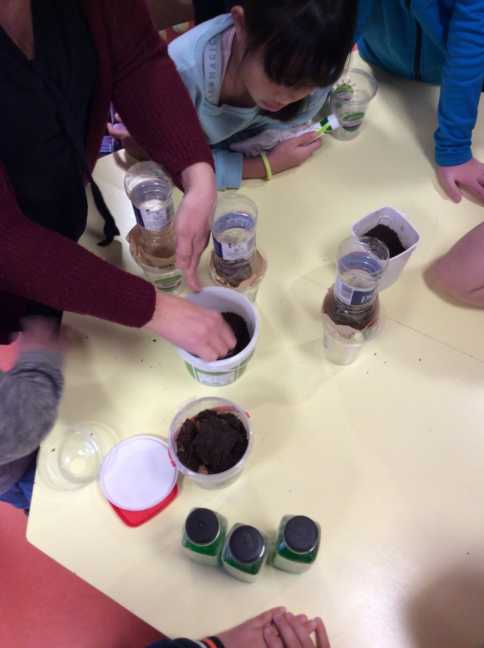 Nemendur læra um votlendi í náttúrufræði