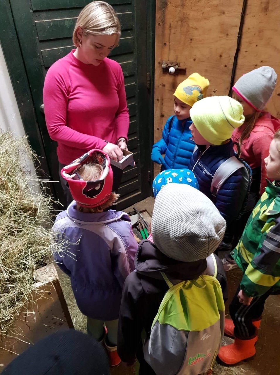 Nemendur 1. og 2. bekkjar læra um hesta