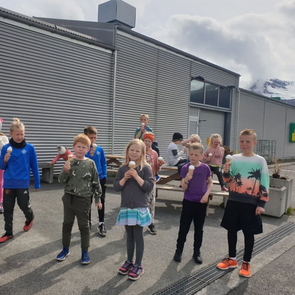 Ís í blíðunni ;)