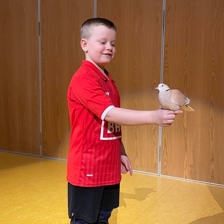 Snæþór með dúfuna góðu