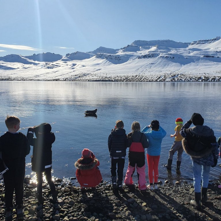 Nemendur í fjöru að horfa á sel