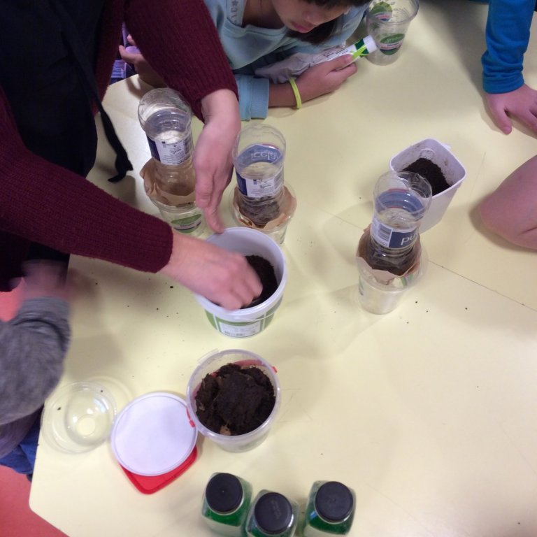 Nemendur læra um votlendi í náttúrufræði