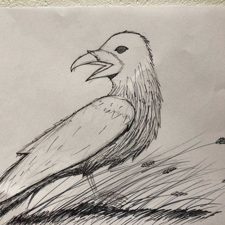 Krummi krúnkar úti