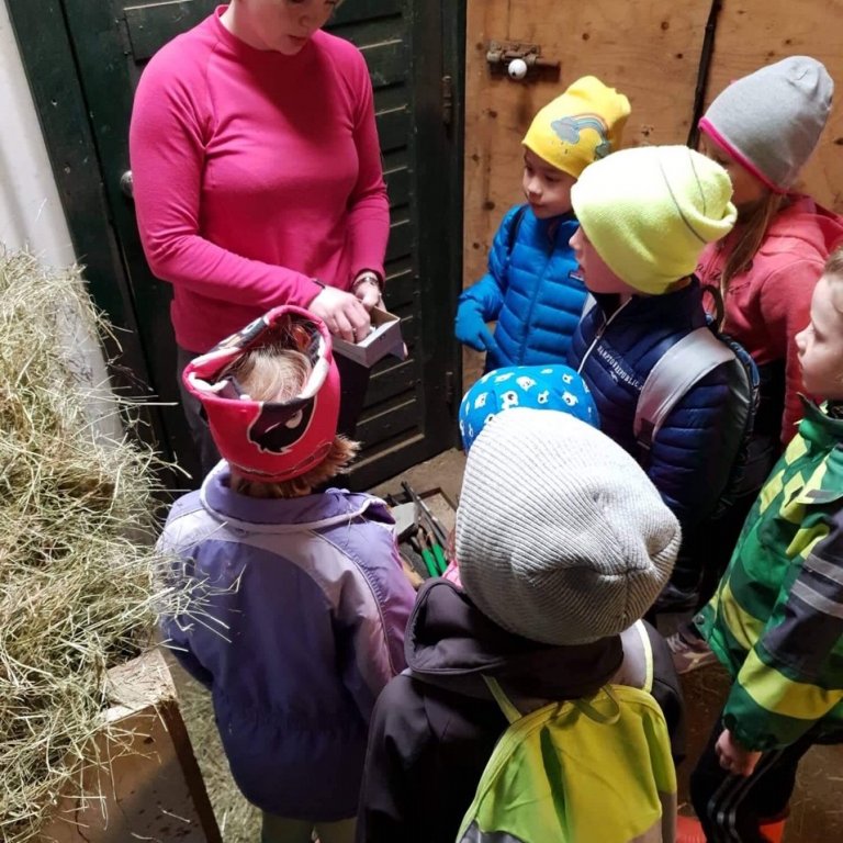 Nemendur 1. og 2. bekkjar læra um hesta